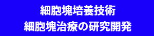 三次元培養による細胞塊培養技術、細胞塊治療の延久開発