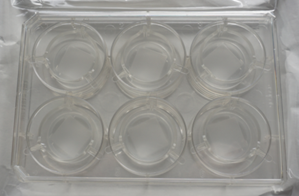 細胞塊・スフェロイド三次元培養マイクロプレートTASCLのパッケージ／細胞塊スフェロイド三次元培養マイクロプレート「TASCL」の製造販売